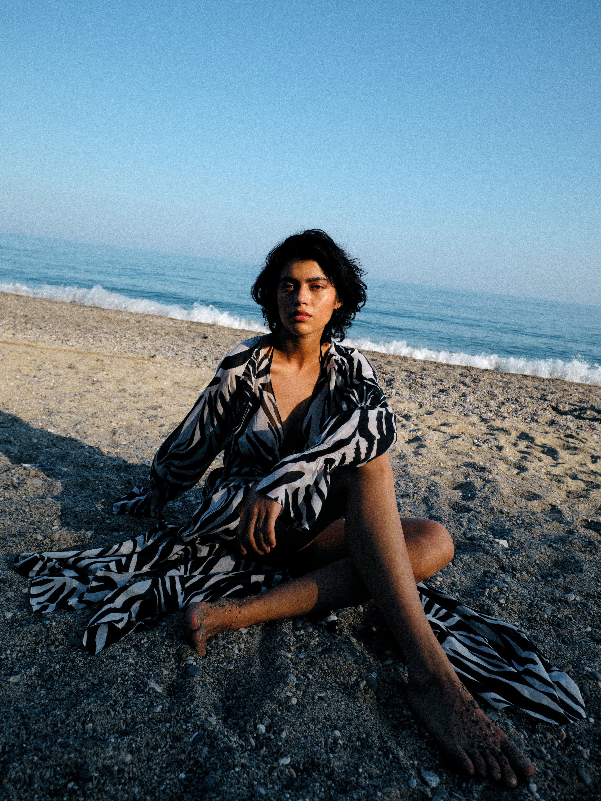 Carol Dress Zebra