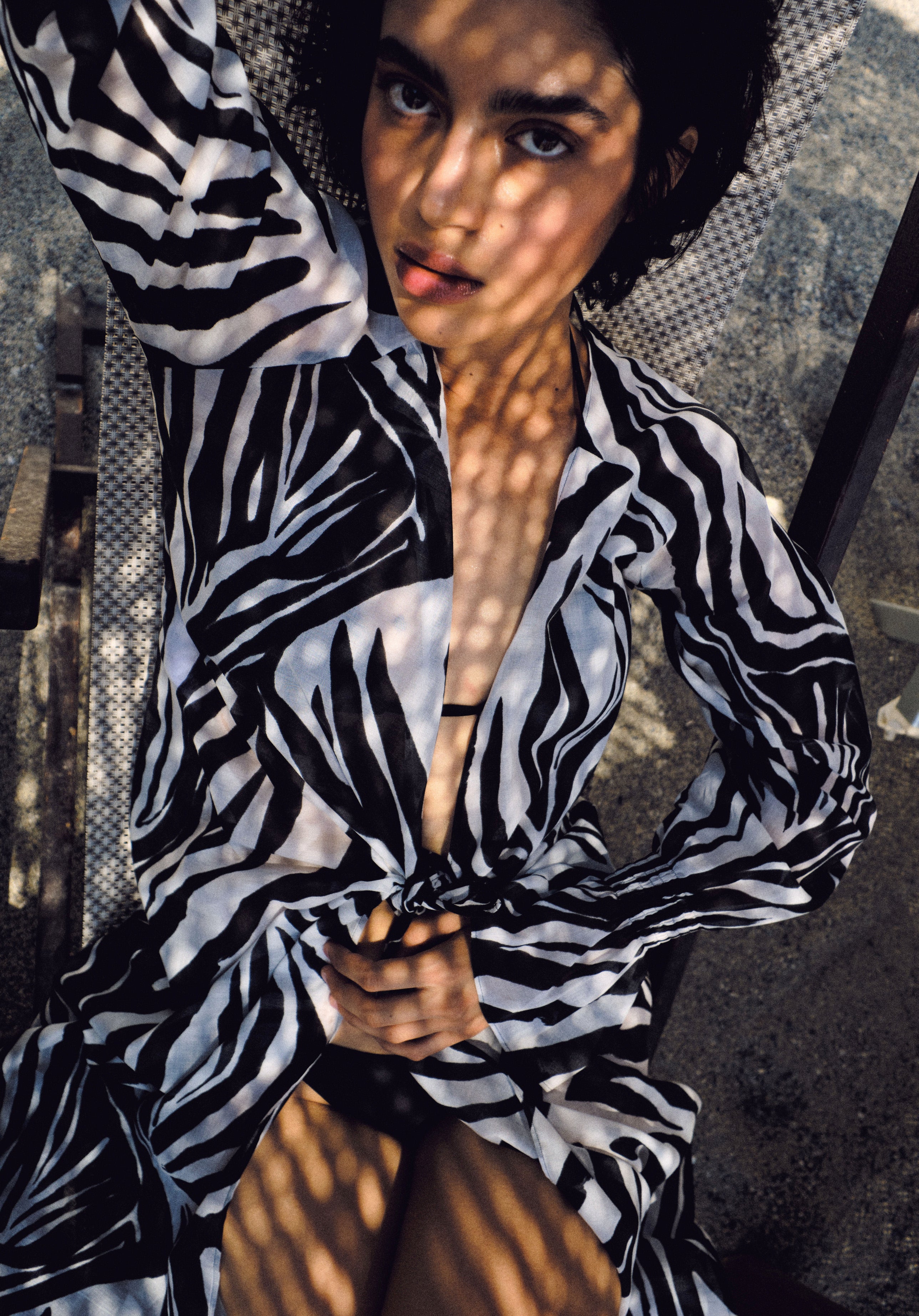 Carol Dress Zebra